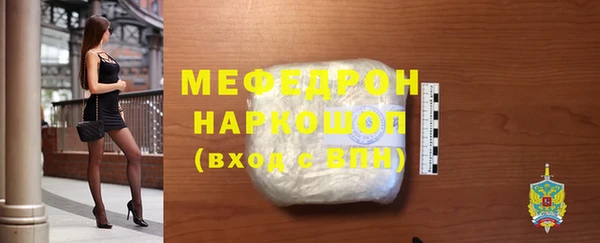 индика Каменка