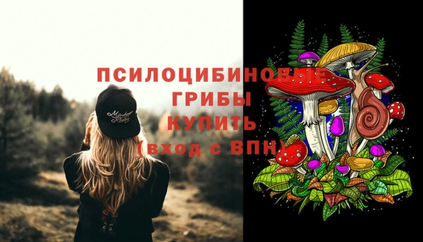 спайс Михайловск