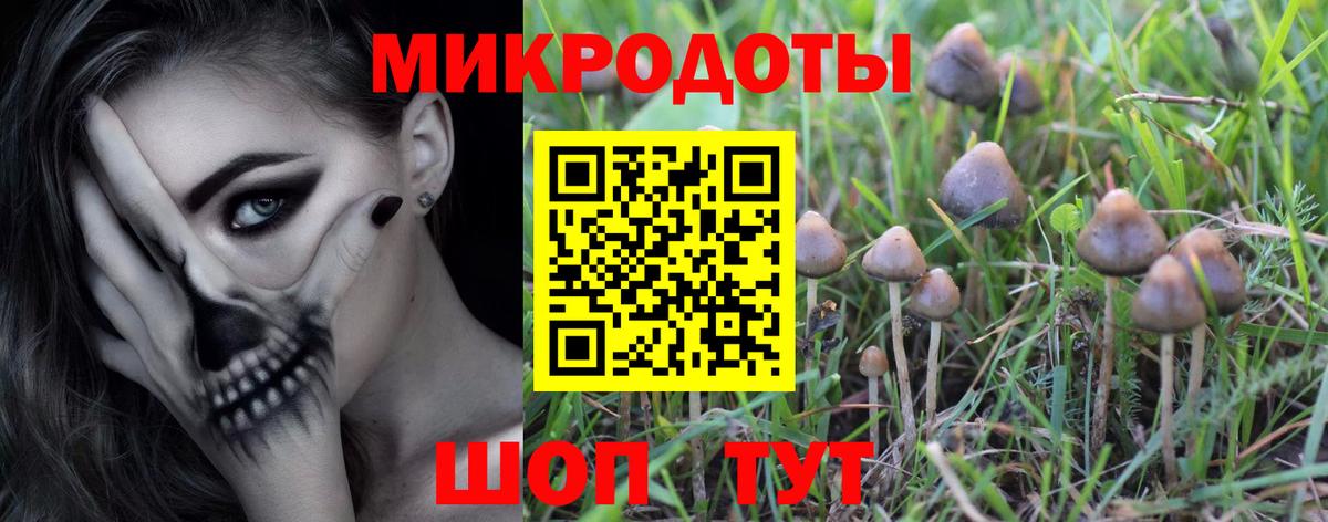 Галлюциногенные грибы прущие грибы Балахна