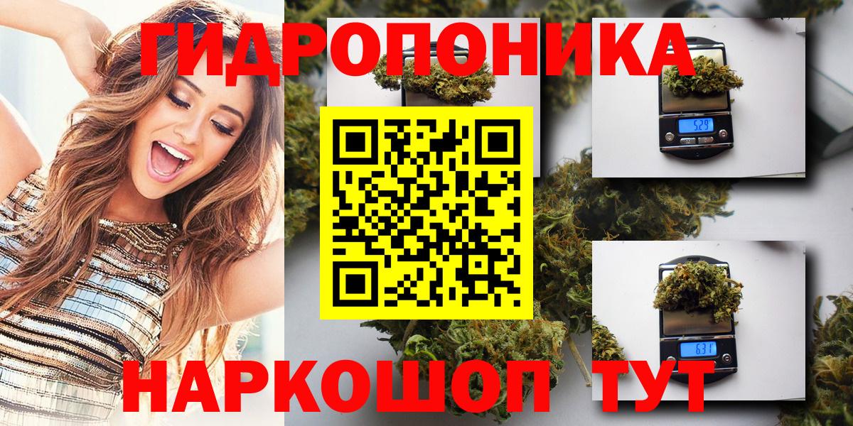Конопля OG Kush  Балахна  Канабис марихуана  Бошки марихуана индика 